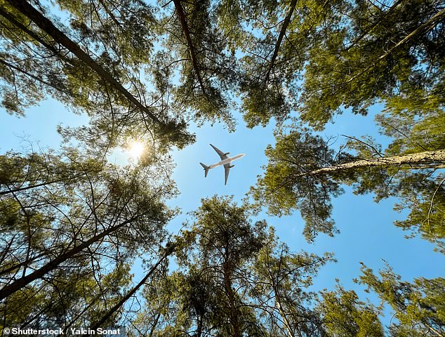 El sitio de viajes The Vacationer realizó una encuesta a nivel nacional preguntando a los encuestados en qué aerolínea