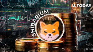 Shibarium shiba inu al borde de mil millones de transacciones; ¿Qué queda?