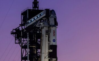 NASA's Crew-11 mission will send four members to the International Space Station thanks to SpaceX's Falcon 9 rocket and Dragon space capsule on Thursday, July 31, 2025. (SpaceX)