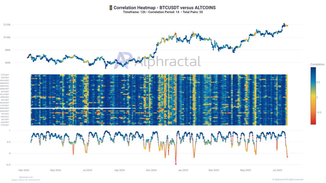 Correlación bitcoin y altcoina