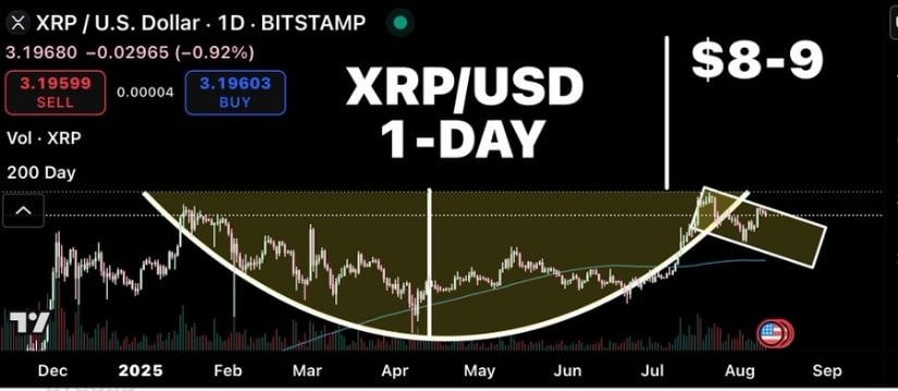 Criptobull