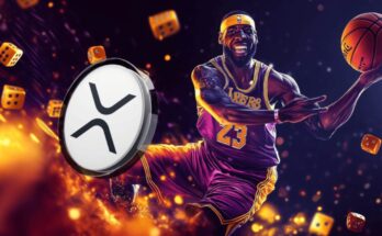 xrp rollblock