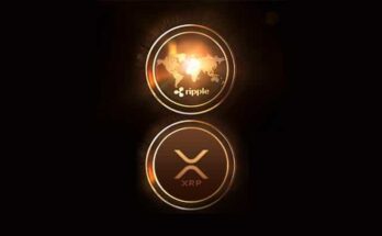 ripplr-vs-xrp