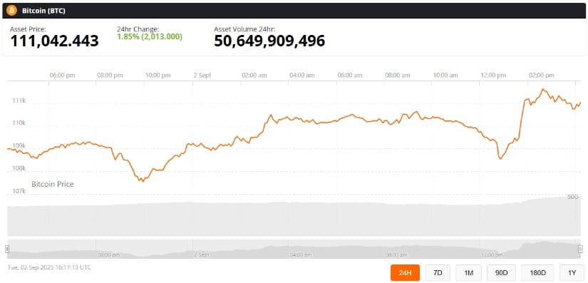El próximo movimiento de BTC y apariencia a largo plazo