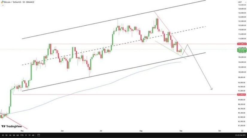 Insights profesionales: los pronósticos de bitcoin indican volatilidad