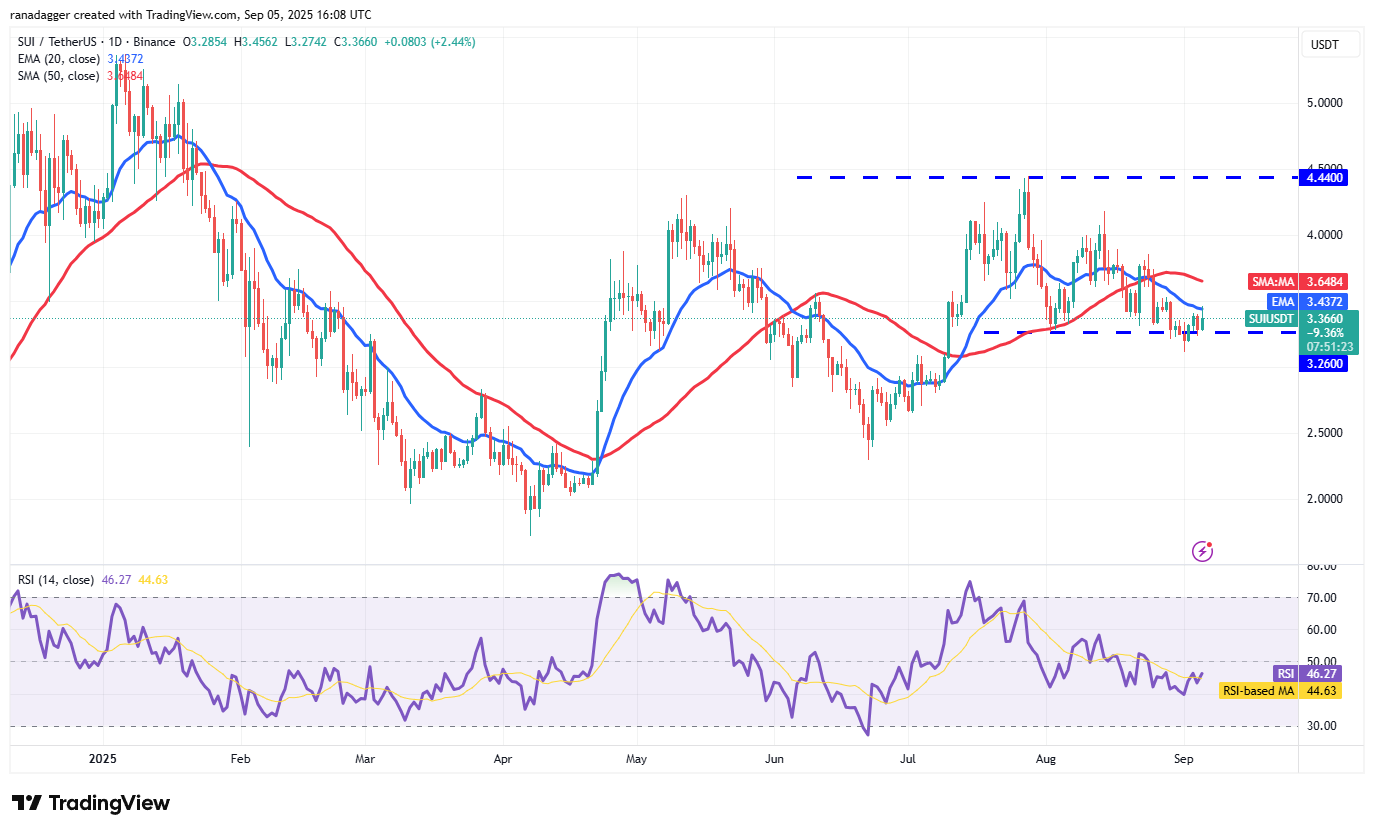 Dogecoin, cryptrents, bitcoin precio, XRP, mercados, caja de cambios de criptinecrencia, cardano, análisis de precios, moneda binanc, cadena, análisis de mercado, bitcoin ETF, ETF, sui