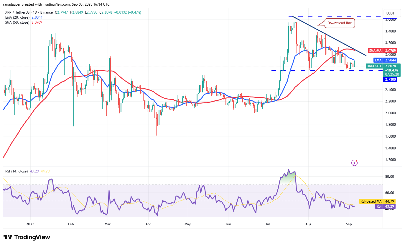 Dogecoin, cryptrents, bitcoin precio, XRP, mercados, caja de cambios de criptinecrencia, cardano, análisis de precios, moneda binanc, cadena, análisis de mercado, bitcoin ETF, ETF, sui
