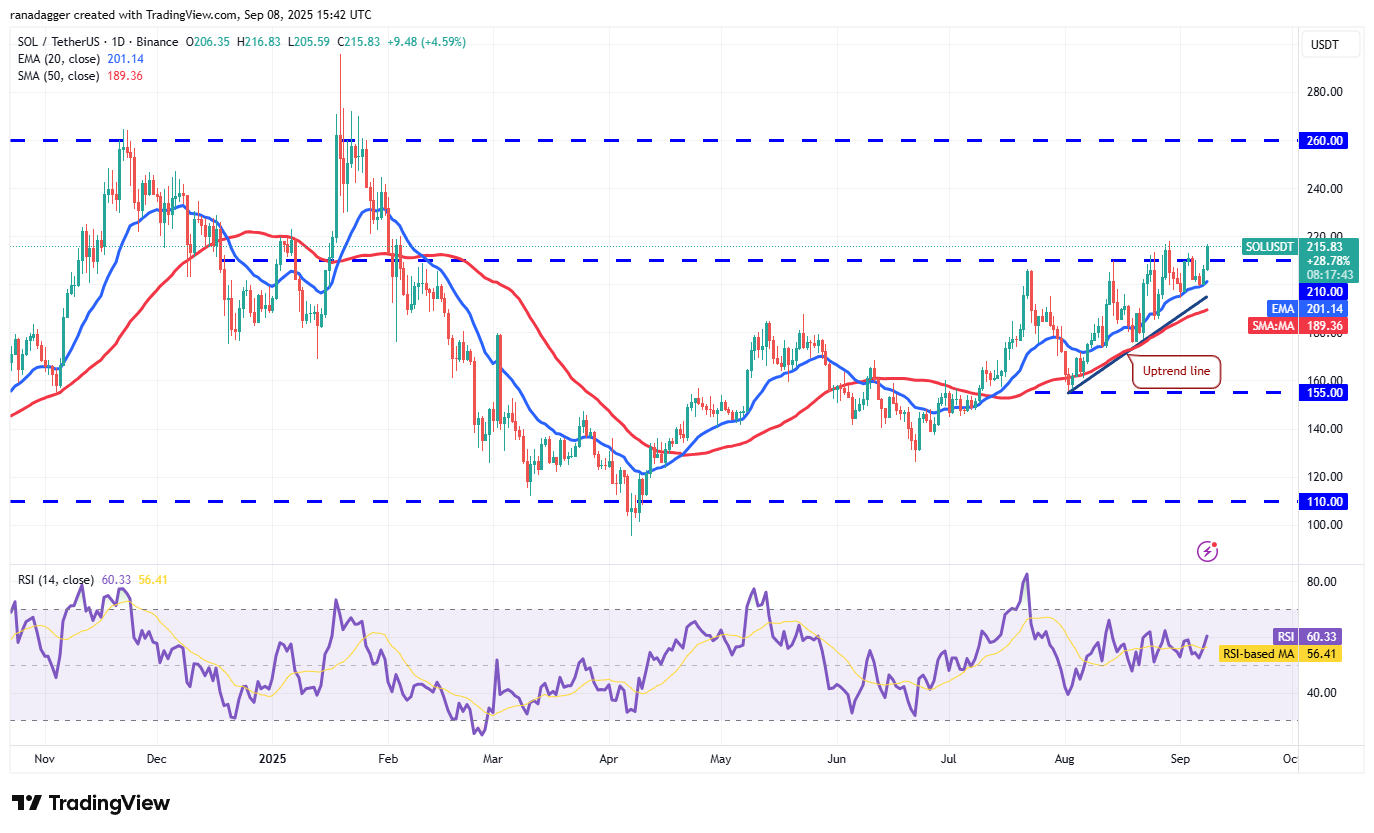 Dogecoin, Cryptorrent, Dollar, Bitcoin Price, XRP, Markets, Cryptocurrency, Price Analysis, Binanca Coin, Market Analysis, Microtratey, S&P 500, Whale, Michael Saylor
