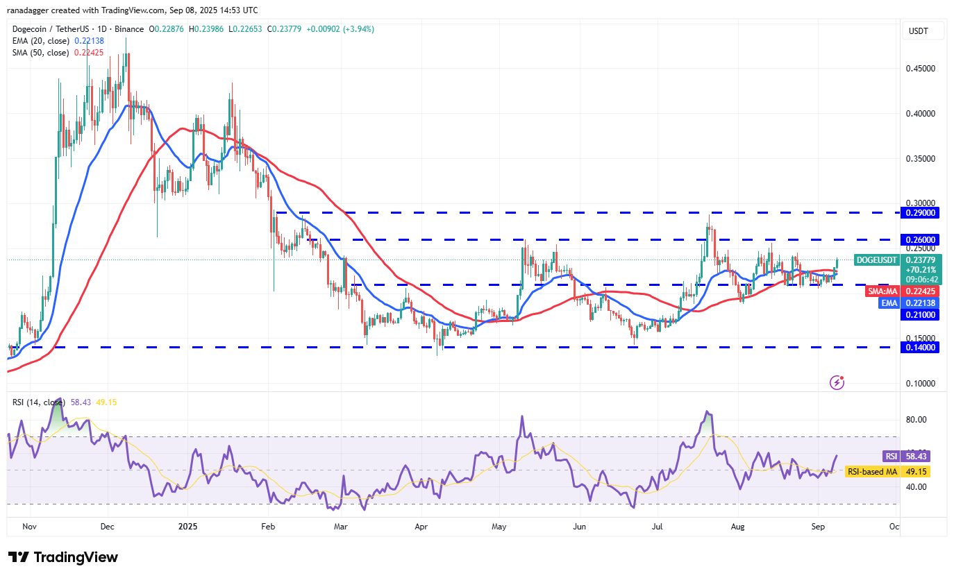 Dogecoin, Cryptorrent, Dollar, Bitcoin Price, XRP, Markets, Cryptocurrency, Price Analysis, Binanca Coin, Market Analysis, Microtratey, S&P 500, Whale, Michael Saylor