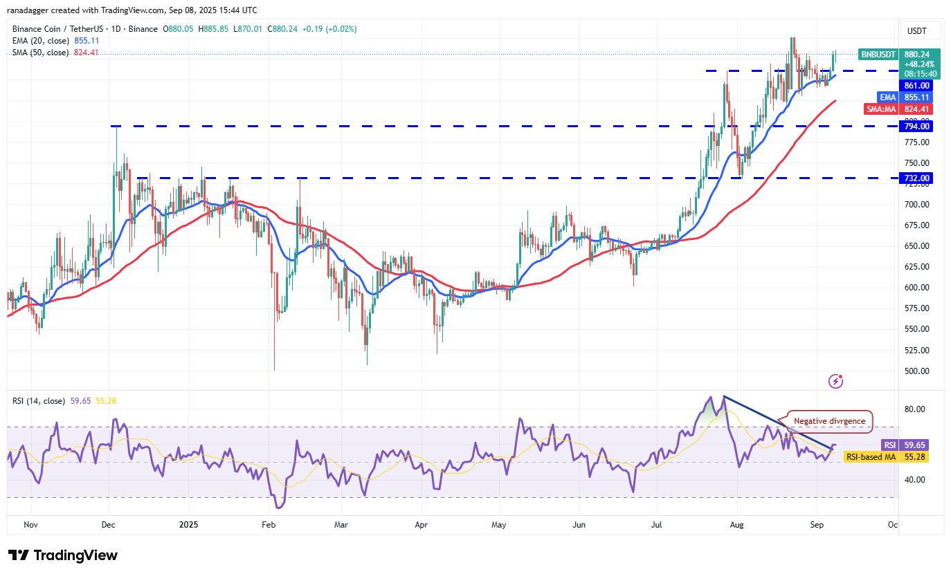 Dogecoin, Cryptorrent, Dollar, Bitcoin Price, XRP, Markets, Cryptocurrency, Price Analysis, Binanca Coin, Market Analysis, Microtratey, S&P 500, Whale, Michael Saylor