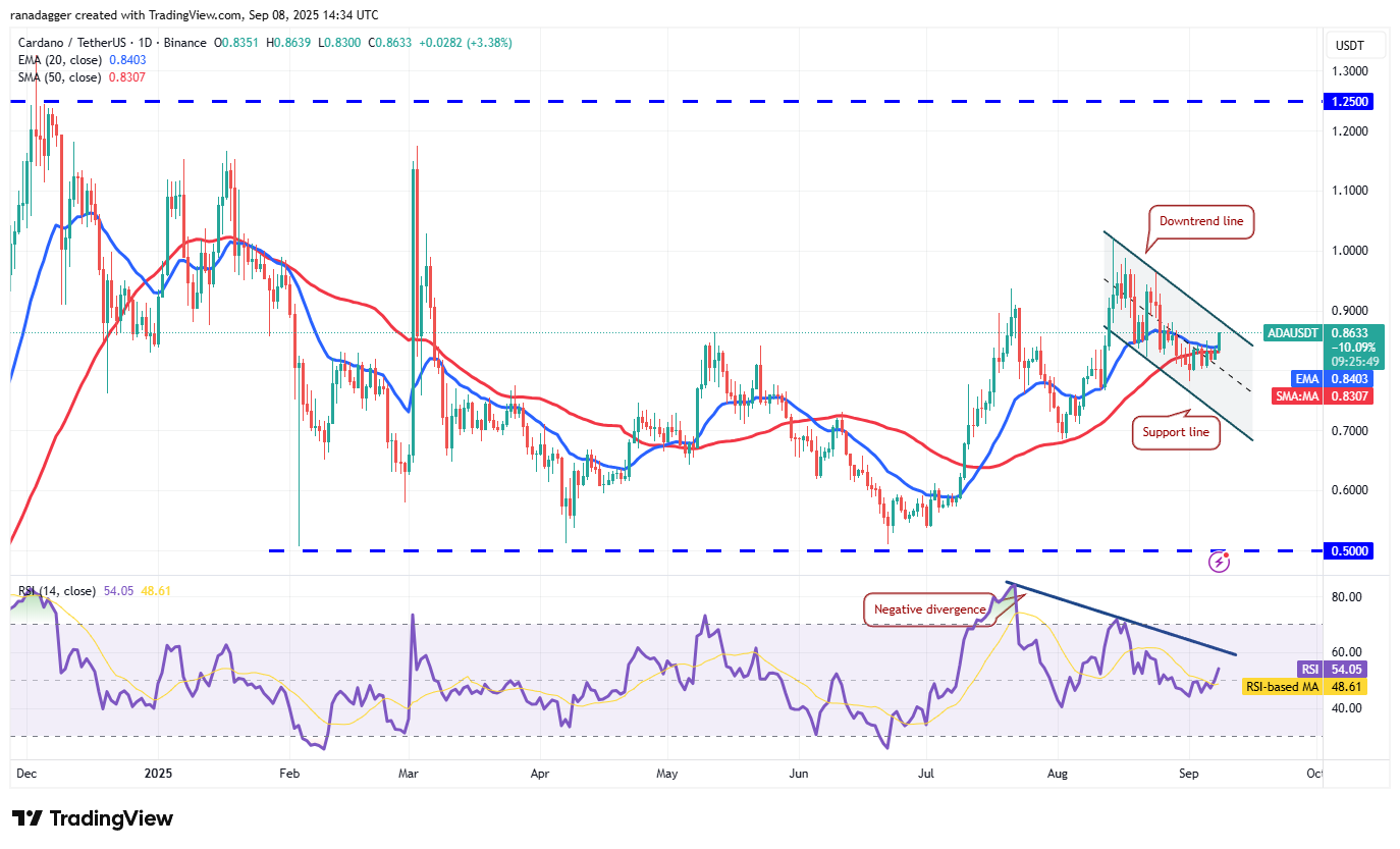 Dogecoin, Cryptorrent, Dollar, Bitcoin Price, XRP, Markets, Cryptocurrency, Price Analysis, Binanca Coin, Market Analysis, Microtratey, S&P 500, Whale, Michael Saylor