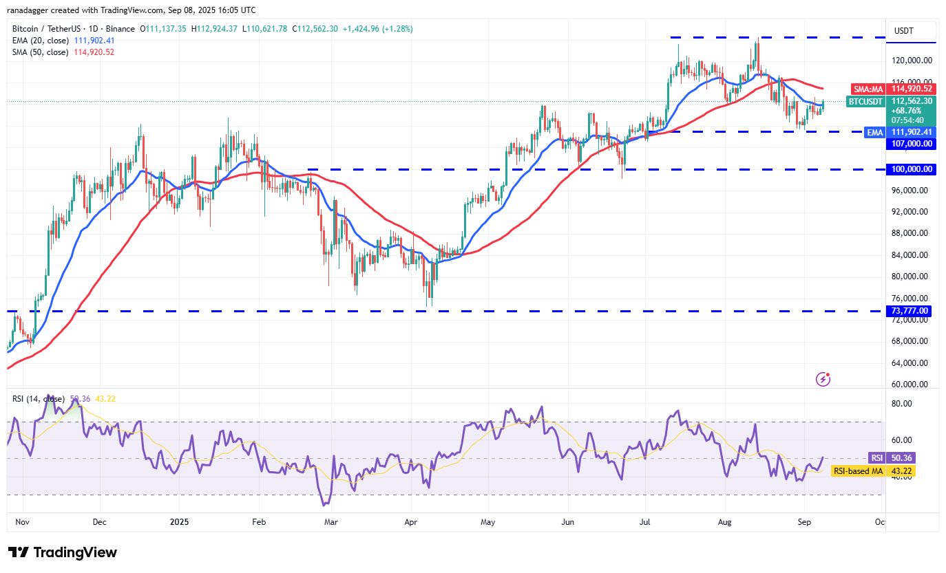Dogecoin, Cryptorrent, Dollar, Bitcoin Price, XRP, Markets, Cryptocurrency, Price Analysis, Binanca Coin, Market Analysis, Microtratey, S&P 500, Whale, Michael Saylor