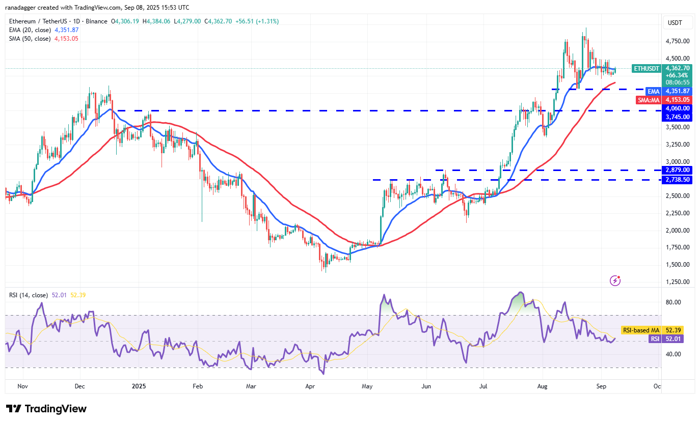 Dogecoin, Cryptorrent, Dollar, Bitcoin Price, XRP, Markets, Cryptocurrency, Price Analysis, Binanca Coin, Market Analysis, Microtratey, S&P 500, Whale, Michael Saylor