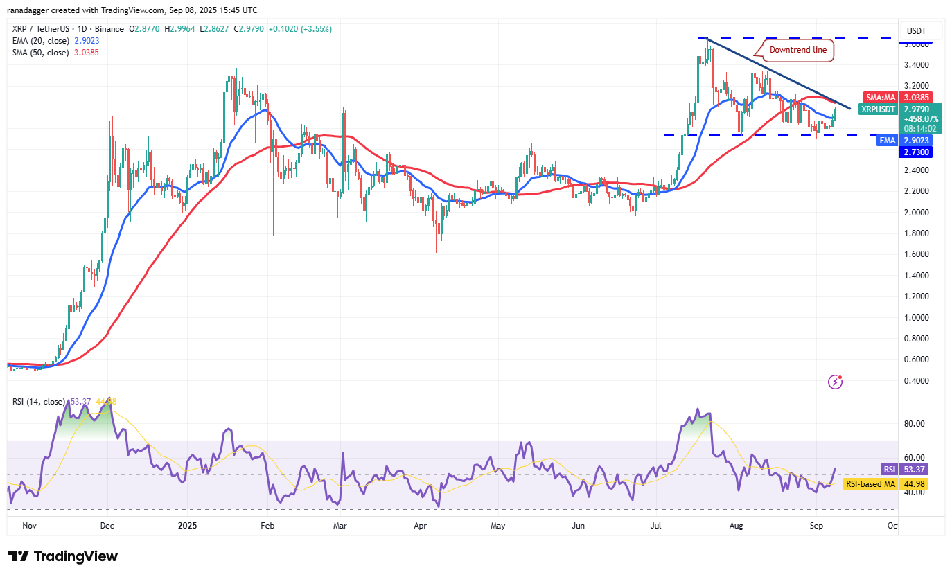 Dogecoin, Cryptorrent, Dollar, Bitcoin Price, XRP, Markets, Cryptocurrency, Price Analysis, Binanca Coin, Market Analysis, Microtratey, S&P 500, Whale, Michael Saylor