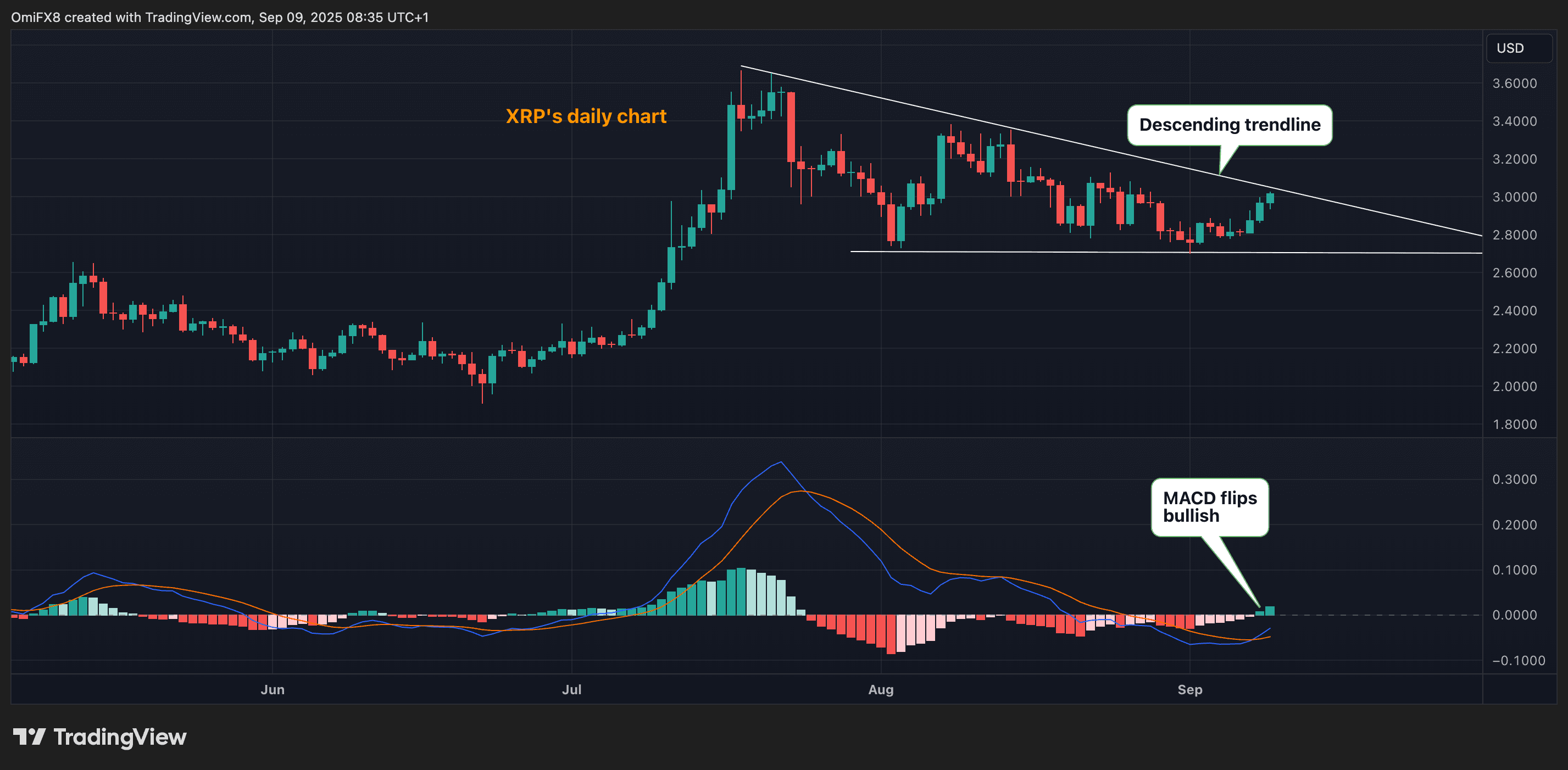 El gráfico diario de XRP con tendencia descendente y MACD. (TradingView / CoinDesk)