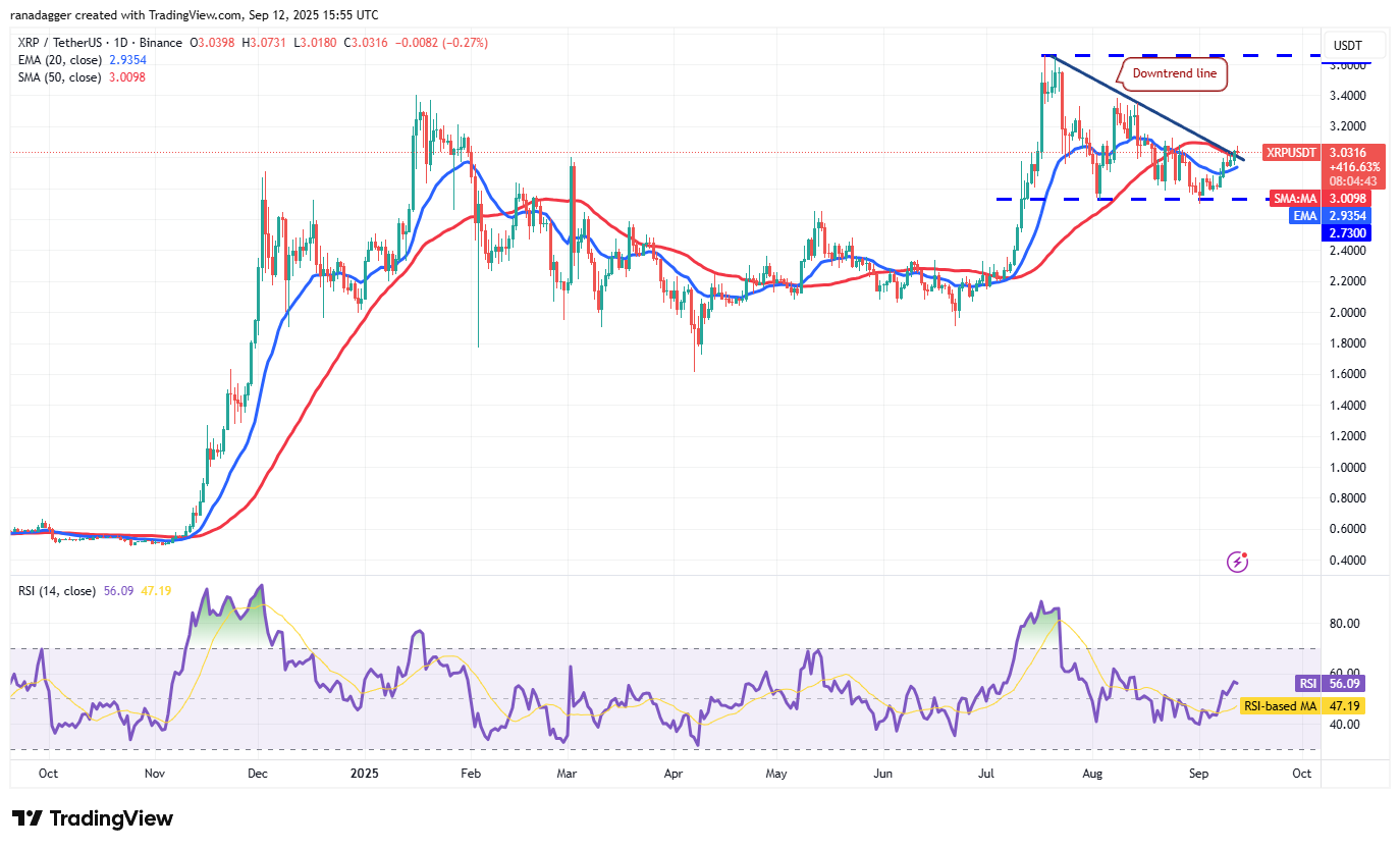Dogecoin, cryptrents, bitcoin precio, XRP, mercados, caja de cambios de criptinecrencia, cardano, análisis de precios, moneda binanc, cadena, análisis de mercado, bitcoin ETF, ETF, sui