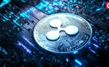 XRP Faces Pullback as Whales Dump 160M Tokens