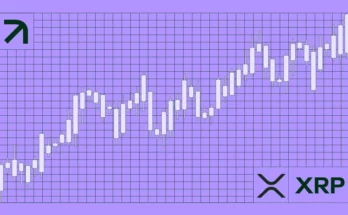 XRP Rally
