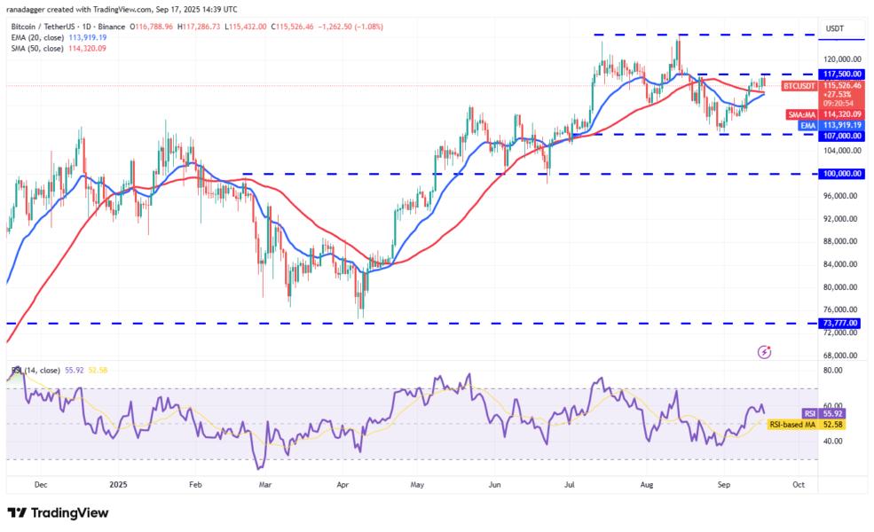Dogecoin, Cryptotrrences, Reserva Federal, Bitcoin Price, XRP, recorte de criptomonedas, Cardano, Análisis de precios, cadena, Fondostrado, Mercado, Solana, Sal, Sal, Sui