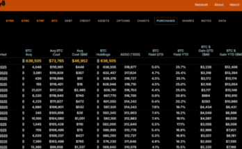 Historia de la compra de la estrategia de Bitco