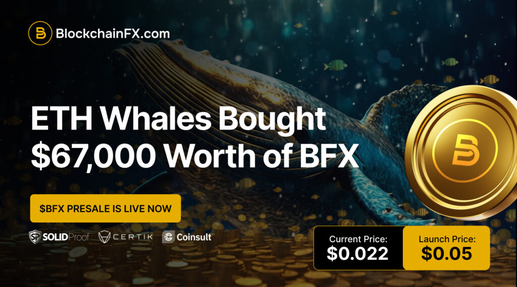 La divergencia de capital de Bitcoin podría provocar al siguiente grupo: por qué blockchainfx es la mejor cripta para la compra ahora 2025. 1 BFX 1 10
