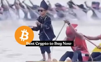 0.46 Bitcoin to USD: Veteran Trader Peter Brandt Says Bitcoin’s Bull Market Peak Could Arrive Any Day