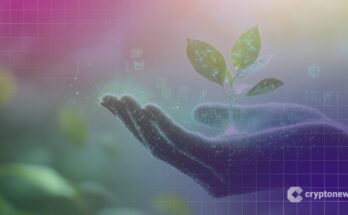 funding web3
