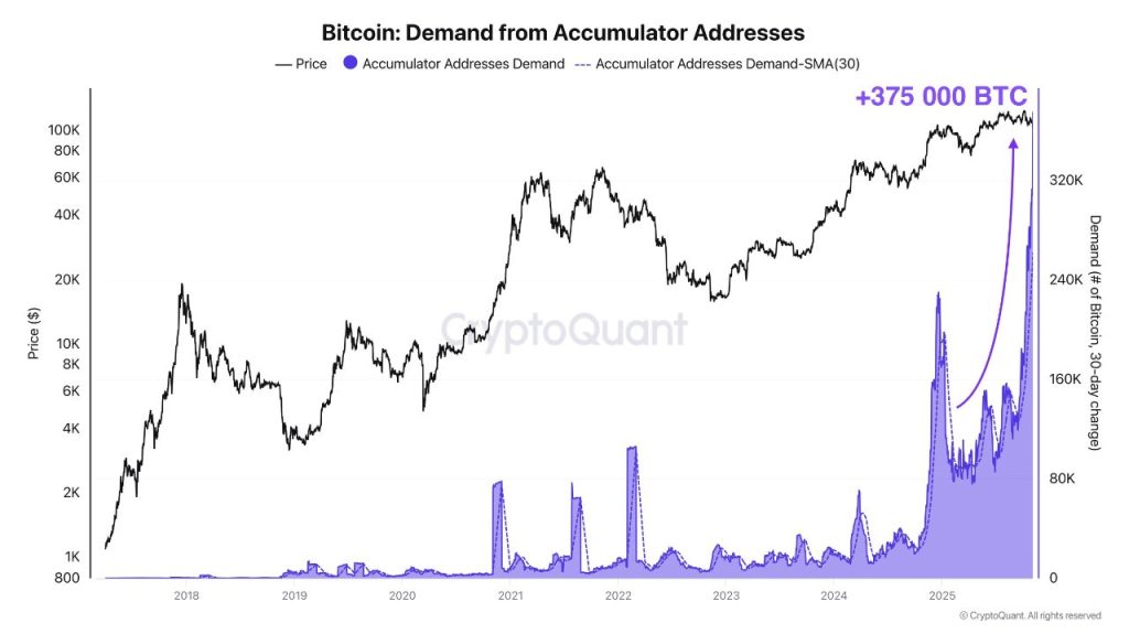 Los datos muestran que los compradores de Bitcoin se están moviendo con todo a un ritmo récord