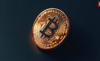 JPMorgan Increases Bitcoin ETF Holdings by 64%, Now Owns $343M in IBIT Shares