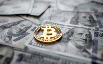 Bitcoin Whales Are Accumulating: What Does It Mean for Price?