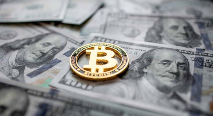 Bitcoin Whales Are Accumulating: What Does It Mean for Price?