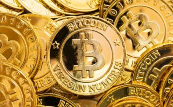 Why Gold Shines at +55% While Bitcoin Tanks: The Great Divergence of 2025