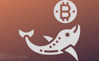 Bitcoin Whales Are Propping Markets As Bulls Regain $9,000