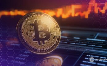 Data Shows Bitcoin Buyers Going All-In at Record Pace