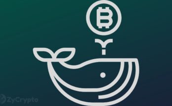 Bitcoin Worth More Than $3.45 Billion Has Exited Crypto Exchanges Amid BTC Whales Going Parabolic