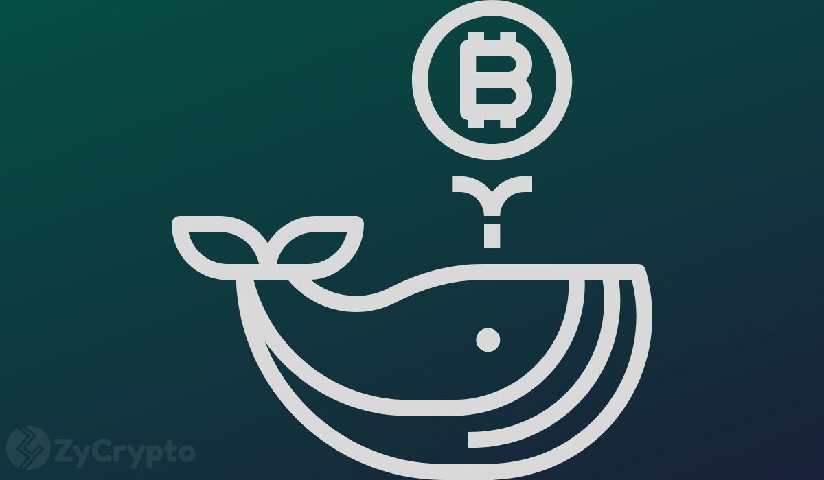 Más de $ 3,450 millones en Bitcoin han salido de los intercambios de cifrado en medio de ballenas parabólicas de BTC Más de $ 3,450 millones en Bitcoin han salido de los intercambios de cifrado en medio de ballenas parabólicas de BTC