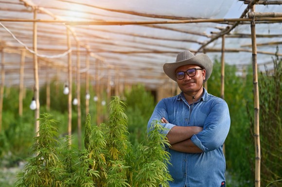 Una persona parada en un invernadero de cannabis.
