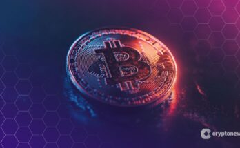 Willy Woo Urges Bitcoin Holders to Migrate from Taproot Before Quantum Era