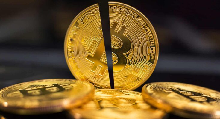 Is Bitcoin Bull Turning Bearish on the Crypto?