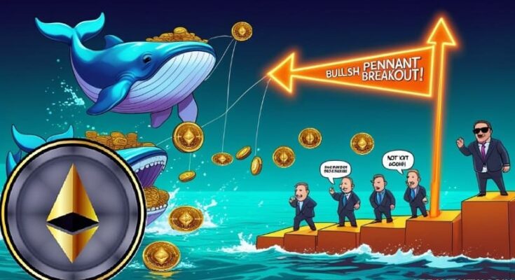 Ethereum Price Prediction: ETH Price Confirms Bullish Pennant Breakout as Whales Add Over 800,000 Coins