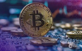 Bitcoin Now Less Volatile Than Nvidia as Investor Base Broadens, Says Bitwise