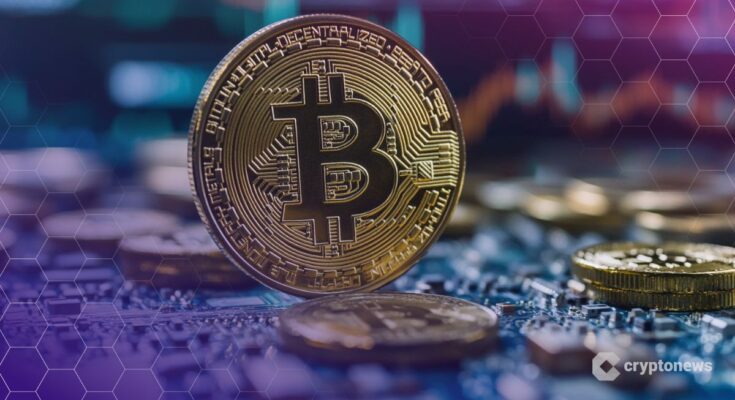 Bitcoin Now Less Volatile Than Nvidia as Investor Base Broadens, Says Bitwise