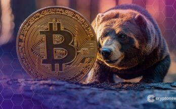Bitcoin May Already Be Two Months Into a Bear Market: CryptoQuant