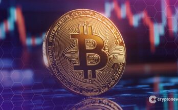 2025 Ended in Red: Bitcoin ETFs Bled $348M on Final Trading Day