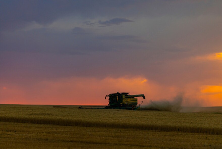Un agricultor del noroeste de Oklahoma cosecha trigo mientras el sol se pone sobre el campo.