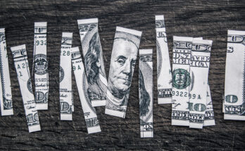 A $100 bill is shown cut into ten pieces.