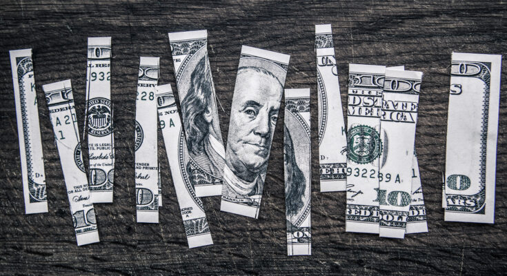 A $100 bill is shown cut into ten pieces.